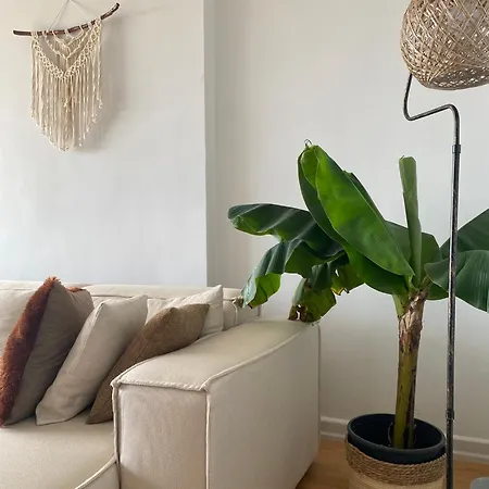 Fantastic Golden Horn View In Beyoglu, Cozy Design *