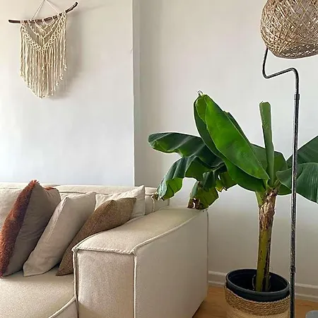 Fantastic Golden Horn View In Beyoglu, Cozy Design